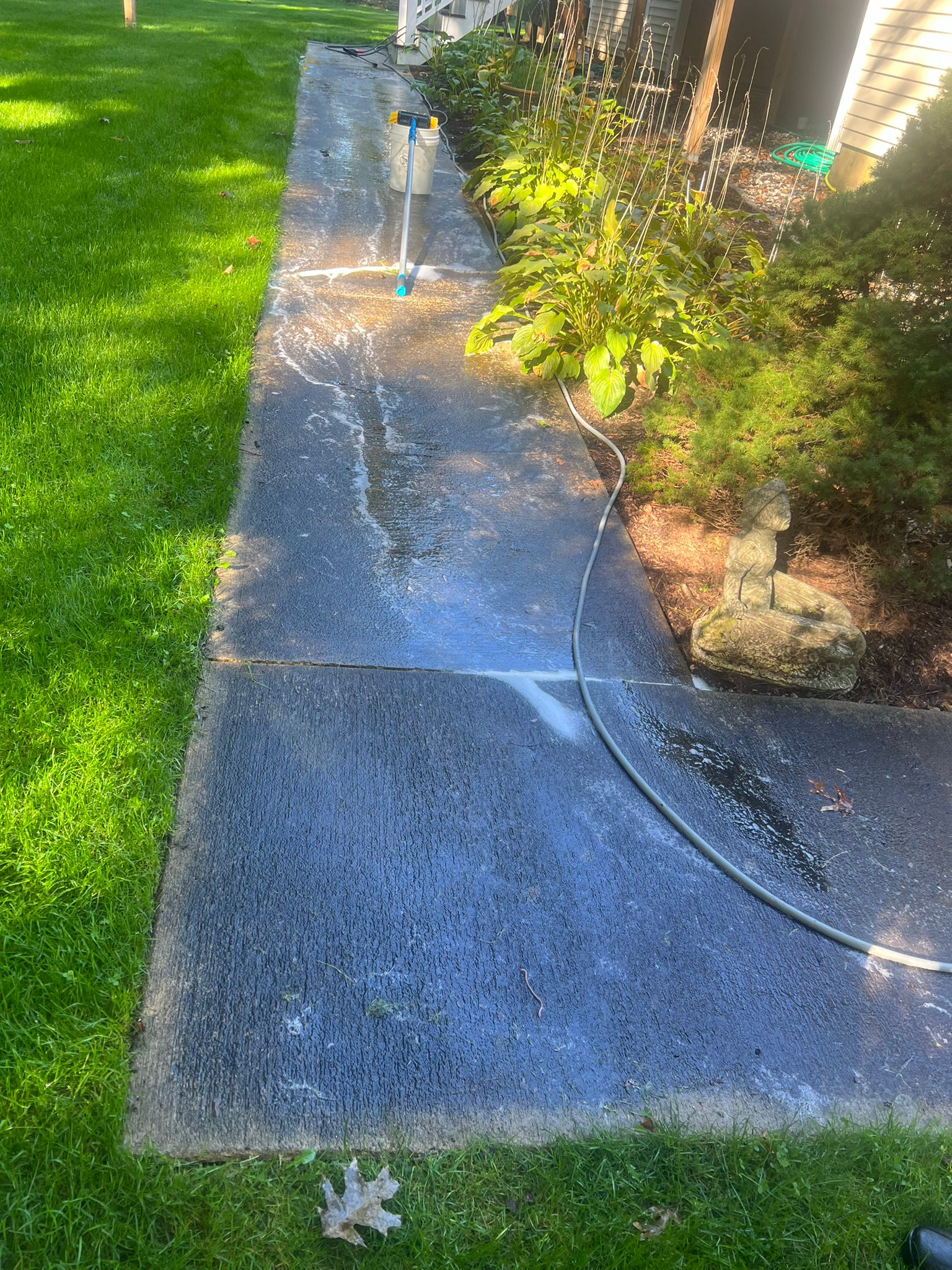 before1.jpeg before1.jpeg